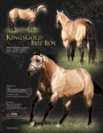T_06-KingsGoldBuzBoy.jpg